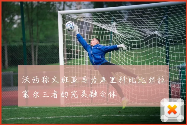 沃西称文班亚马为库里科比比尔拉塞尔三者的完美融合体